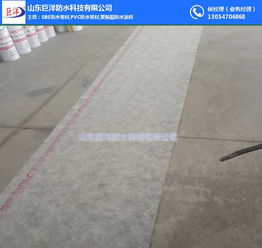 山東巨洋防水 聚乙烯丙綸防水卷材 杭州丙綸防水卷材
