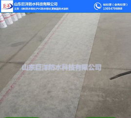 山東巨洋防水 丙綸防水卷材價格 無錫丙綸防水卷材