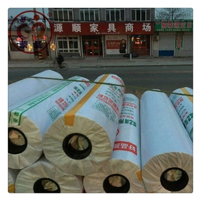 榮圣國標1000g高分子聚乙烯丙綸耐根穿刺防水卷材綠色植物花園補漏防水材料圖片_高清圖_細節圖-壽光市耀榮防水材料廠